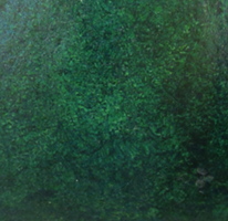 green swatch
