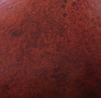 leather swatch