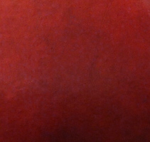 red swatch