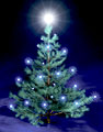 German Glass Christmas Ornaments